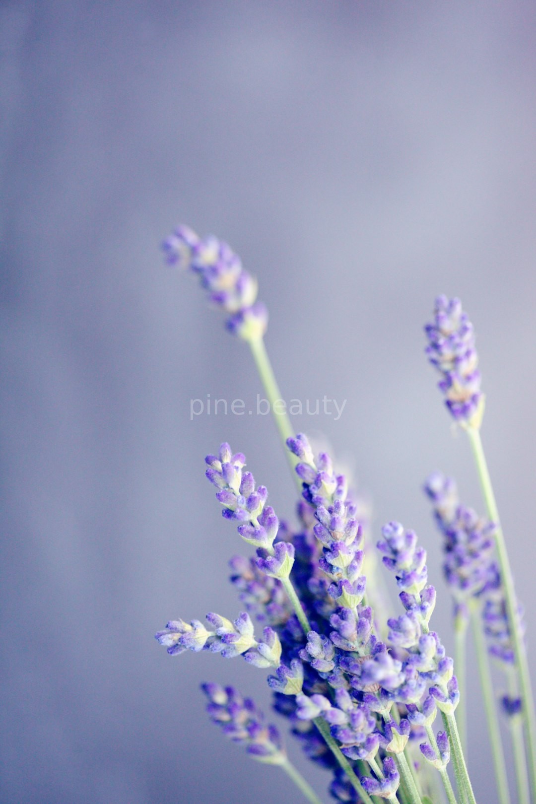 Aromatherapy